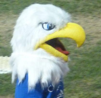 Cocalico Eagle